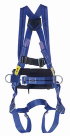 TITAN 2-Point Harness With Work Positioning Belt